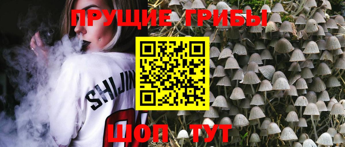 Серпухов  дарнет шоп  Вход с VPN  Галлюциногенные грибы мухоморы 